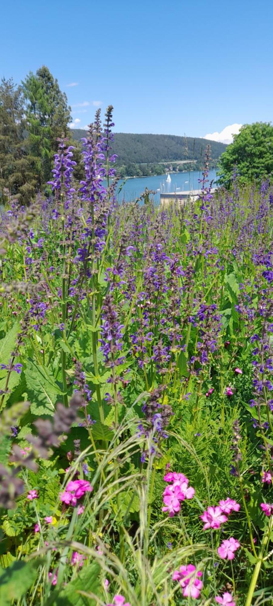 Glanz Und Gloria Velden! Woerthersee In 5 Min Zu Fuss Erreichbar! Velden am Wörthersee Zewnętrze zdjęcie